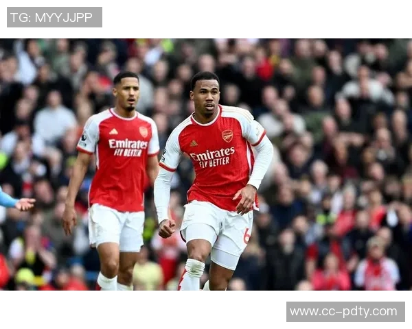 莱斯费迪南德点评阿森纳表现不足比分却显五星级水准 莱斯费迪南德点评阿森纳表现不足比分却显五星级水准